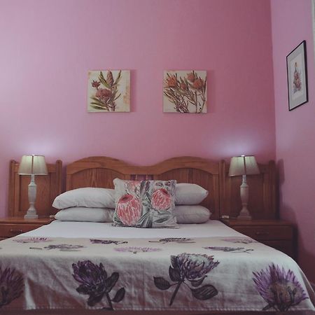Homebase Melville Backpackers Йоханнесбург Экстерьер фото