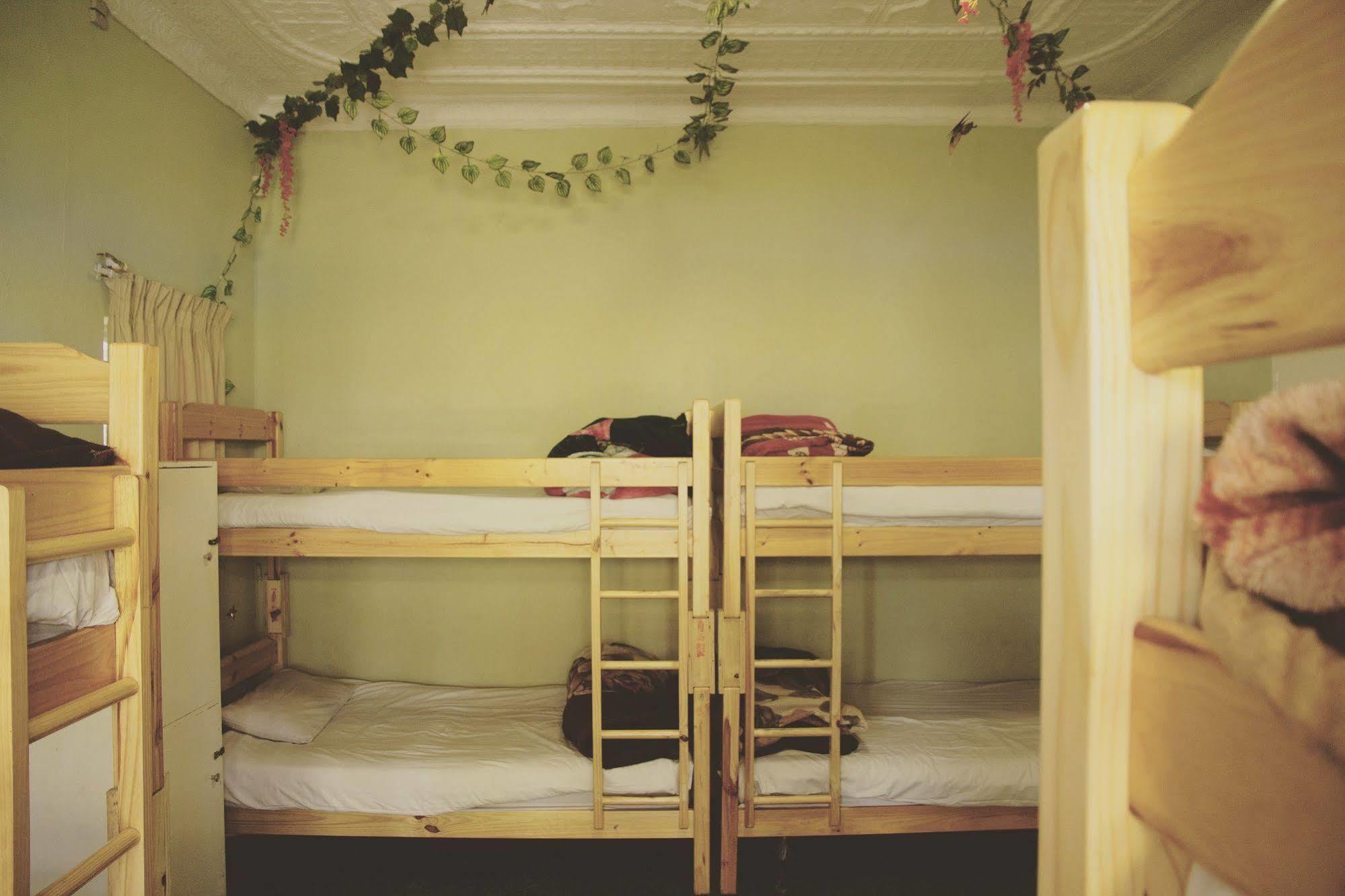 Homebase Melville Backpackers Йоханнесбург Экстерьер фото